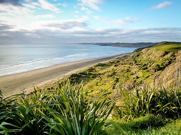 Manu Bay (Nouvelle-Zélande)