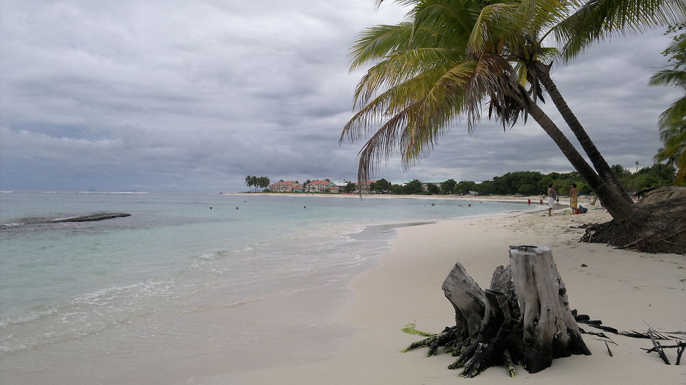 Plage des raisins clairs,Saint François,Guadeloupe