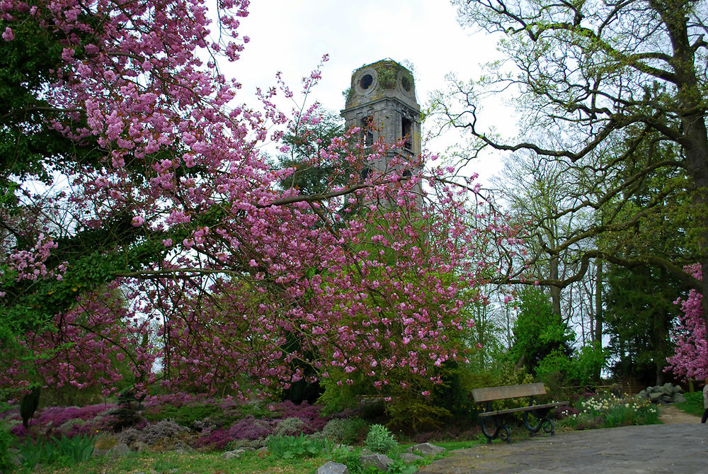 Le printemps à Pairi Daiza