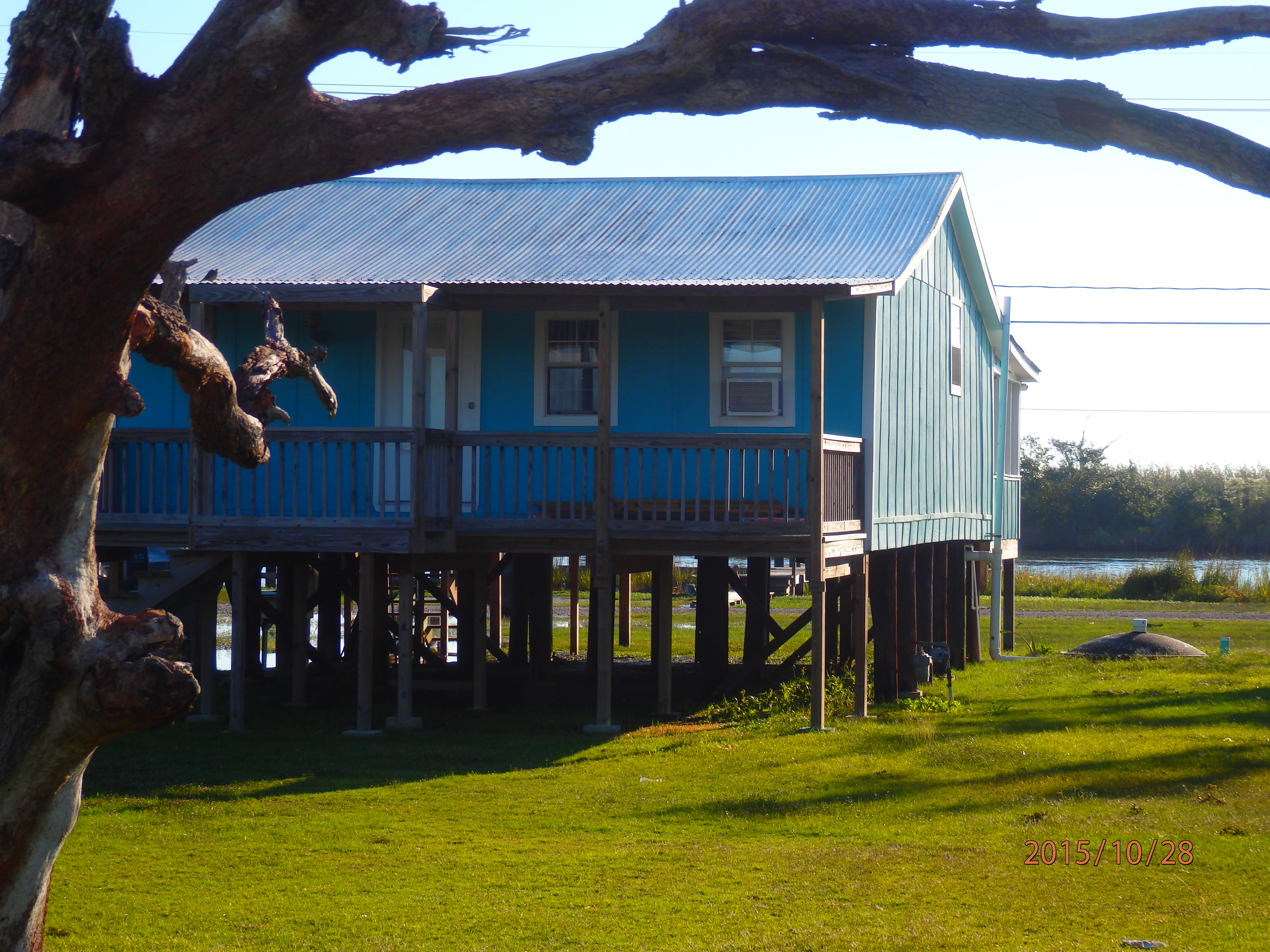 Cocodrie - Louisiane Cocodrie - Louisiane