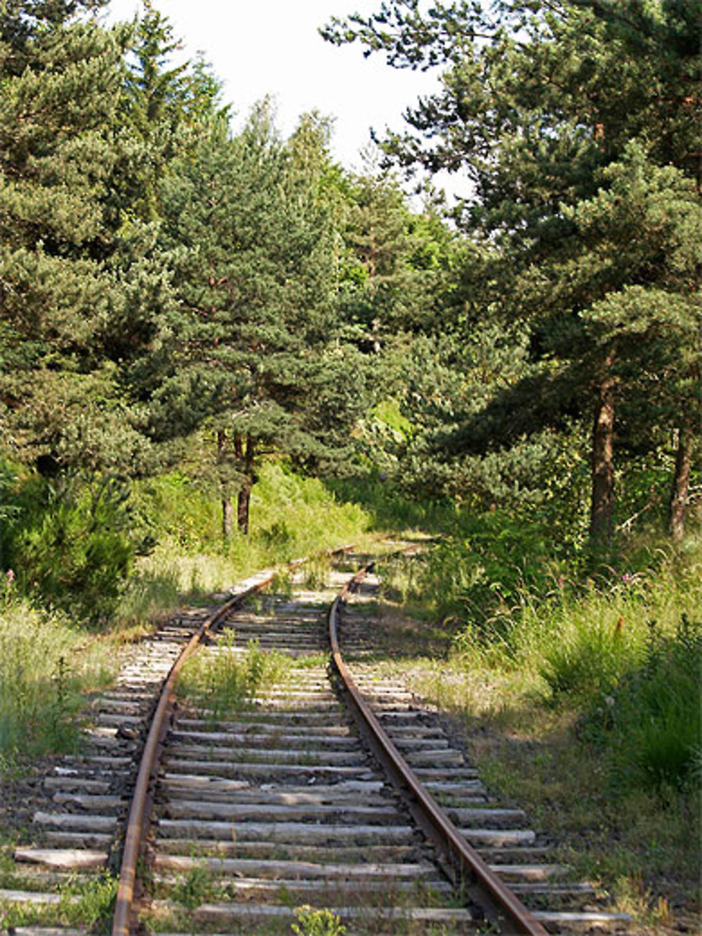 Pradelles - le vélo rail