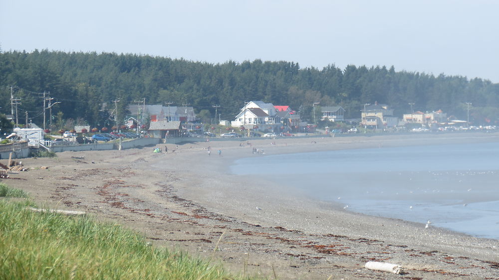 L'Anse aux coques à Ste-Luce