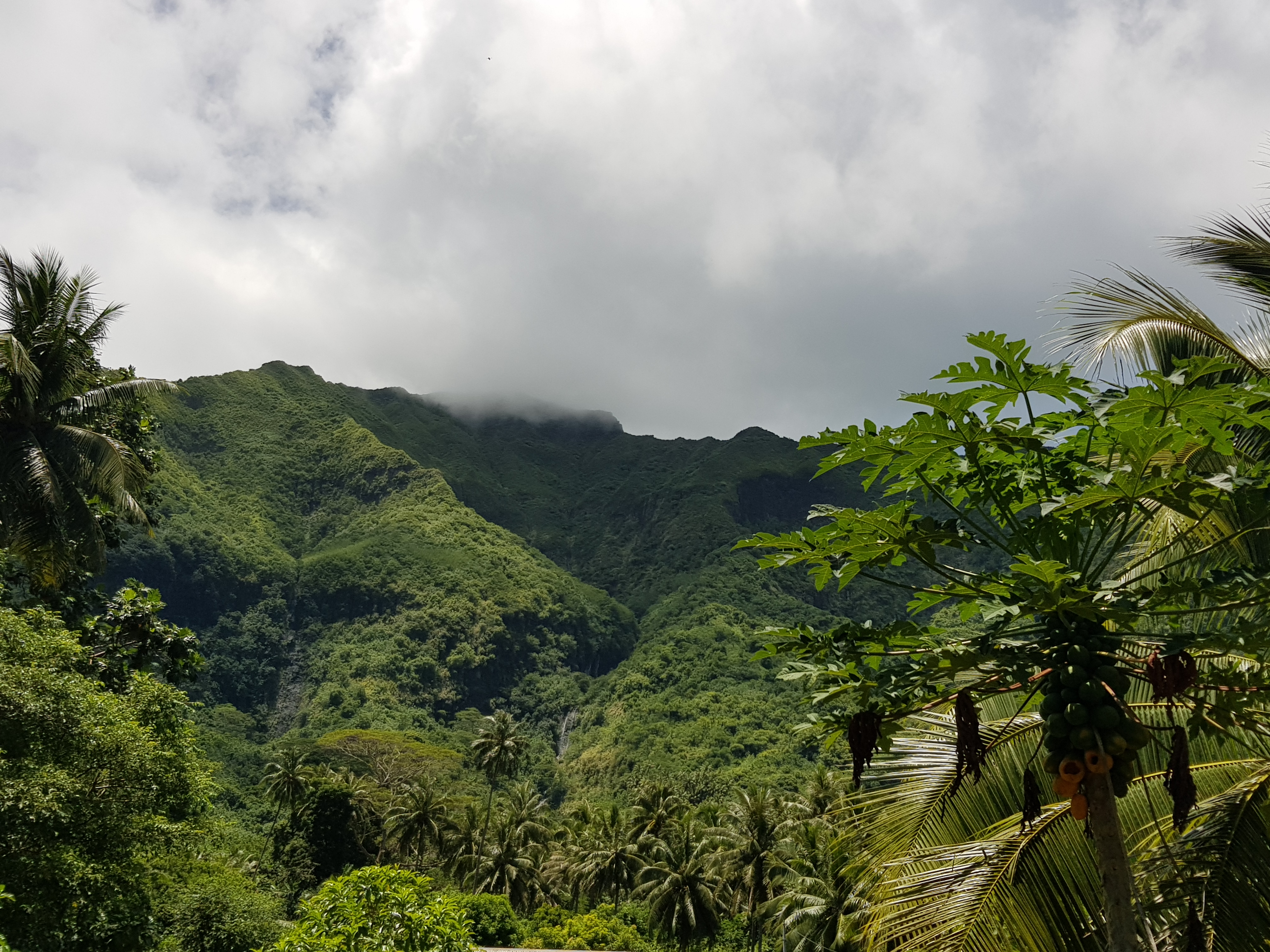 Hauteurs de Raiatea Hauteurs de Raiatea
