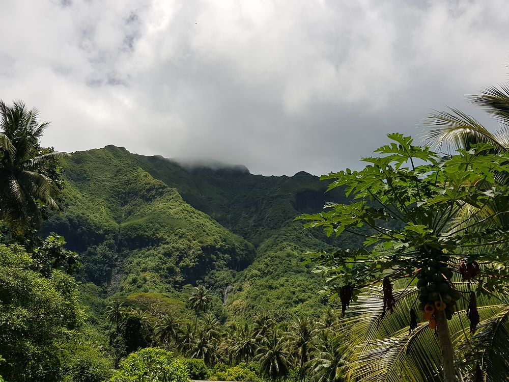 Hauteurs de Raiatea