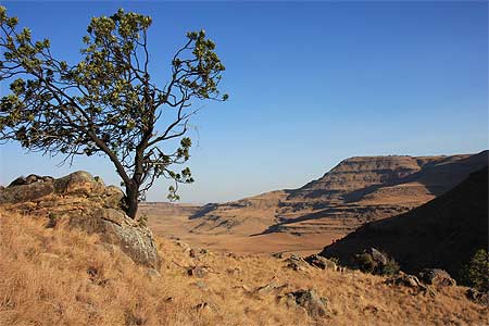 Randonnée dans le Drakensberg Randonnée dans le Drakensberg