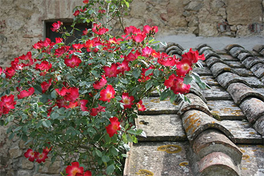 Printemps à Monticchiello