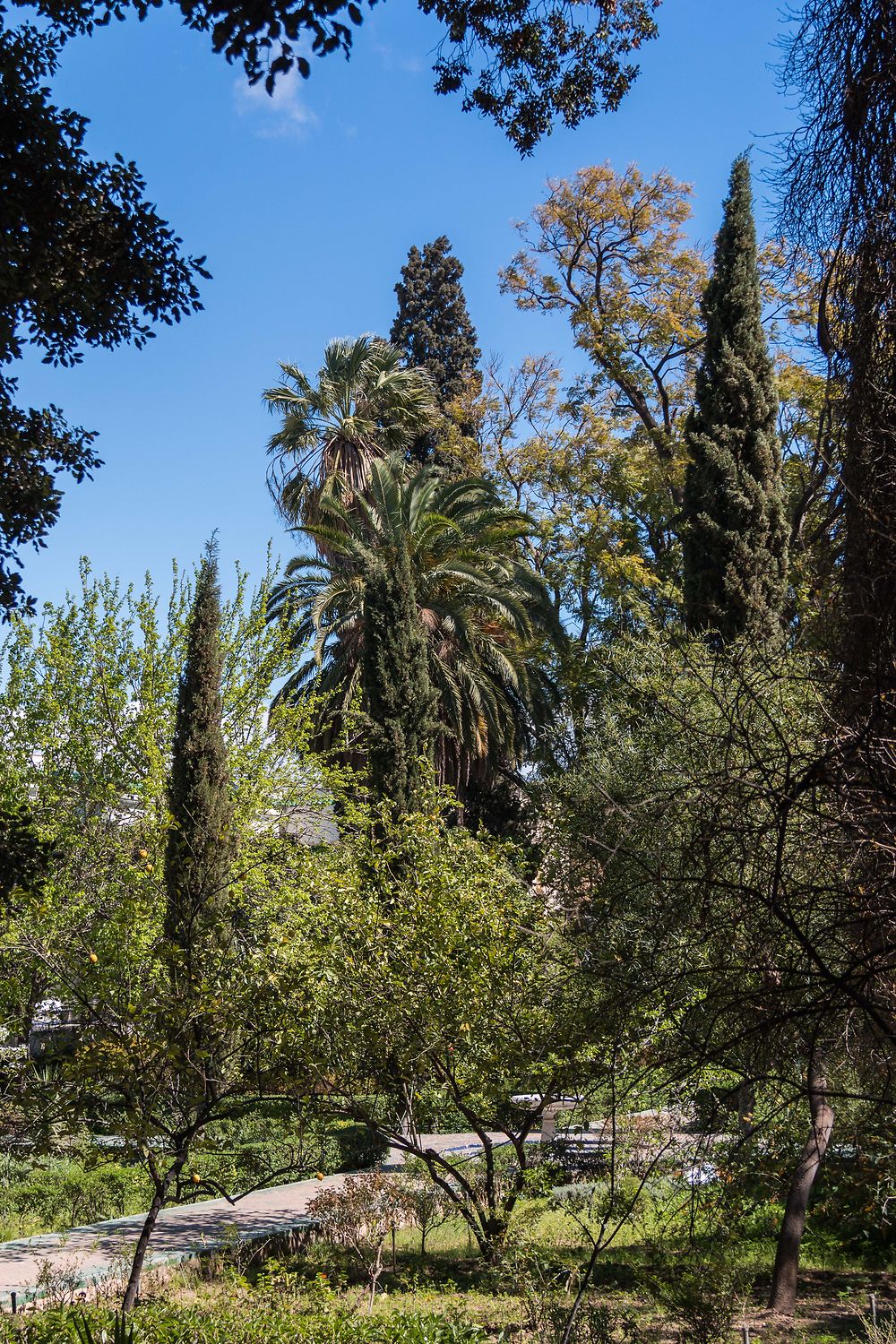 Musée du Batha... dans le magnifique jardin