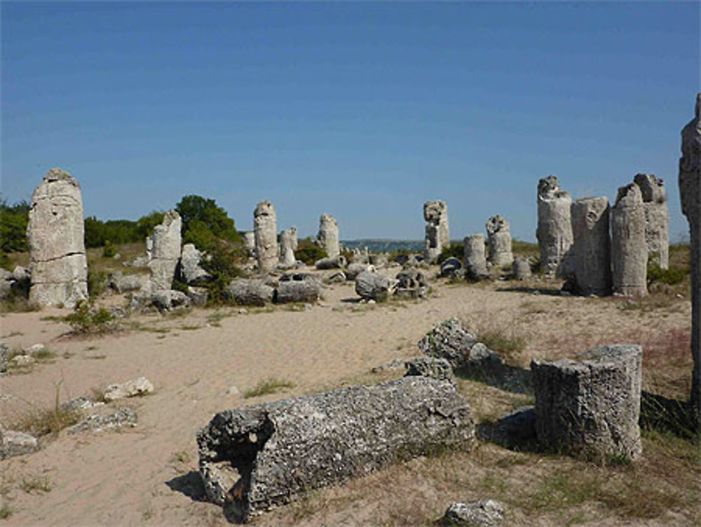 Champ de pierres