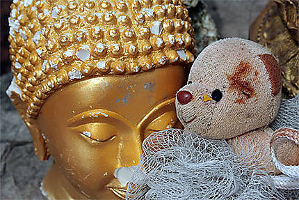 Le Bouddha et l'ours en peluche: cimetière des dieux