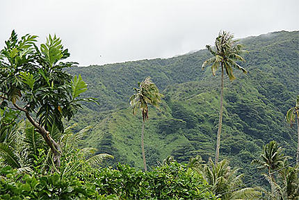 Paysages de Tahiti Iti