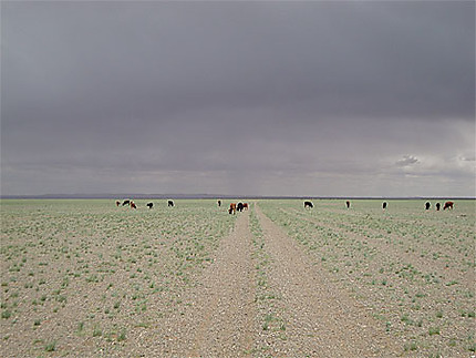Pluie dans le désert de Gobi