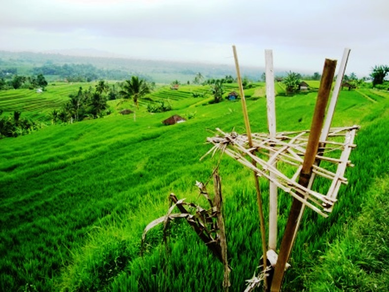 Jatiluwih Jatiluwih
