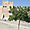 Le fort de Fujairah (Fujairah)