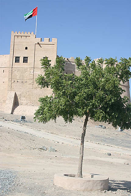 Le fort de Fujairah (Fujairah)
