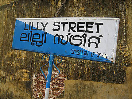 Lilly Street ...  