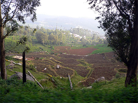 Les Nilgiri Hills Les Nilgiri Hills