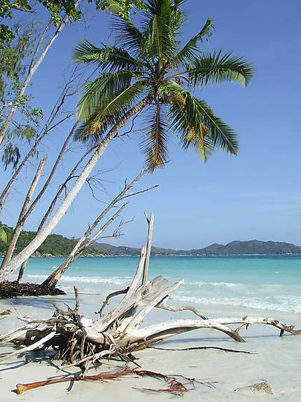 île des seychelles