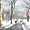 Comme une peinture, sous la neige à Central Park