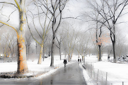 Comme une peinture, sous la neige à Central Park