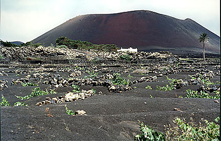 Tierra de volcanes