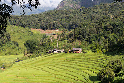 La Thaïlande du Nord, verte et authentique
