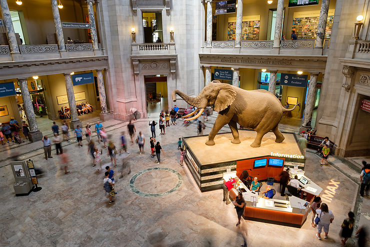 Les grands musées de Washington