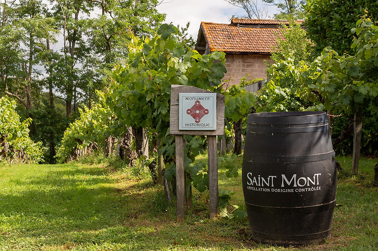 Découvrir l’unique parcelle de vigne inscrite aux Monuments Historiques 