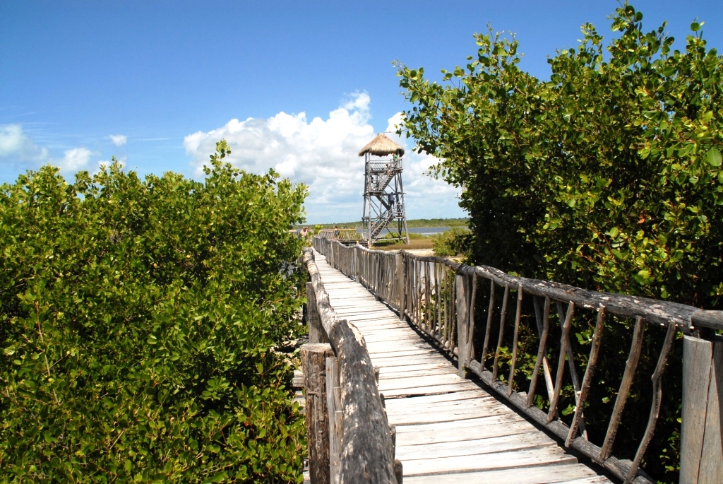 Punta sur Punta sur