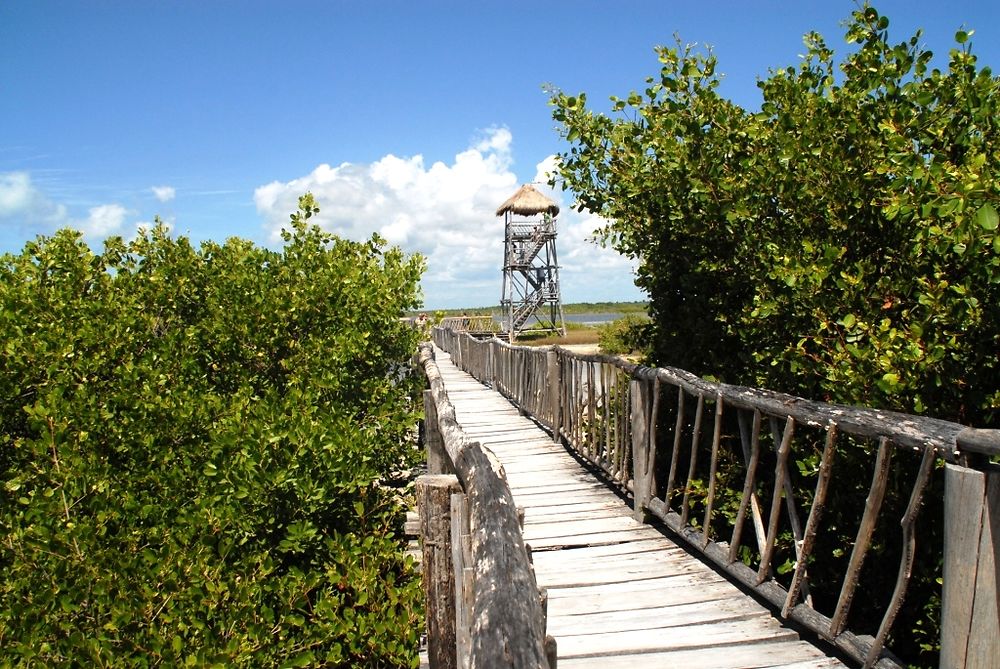 Punta sur