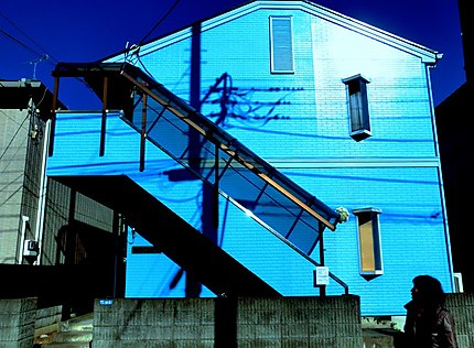 La maison bleue