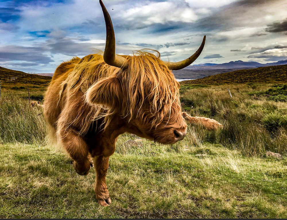 Au cœur des highlands