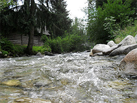 Au ras de l'eau ... Au ras de l'eau ...