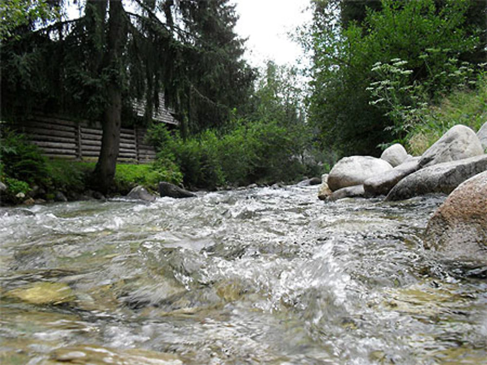 Au ras de l'eau ...