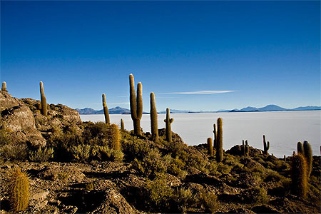 Salar d'Uyuni, Isla del Pescado Salar d'Uyuni, Isla del Pescado