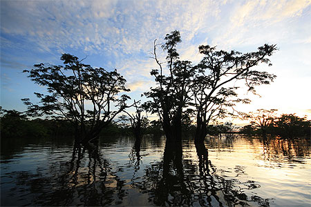 Laguna Grande à Cuyabeno Laguna Grande à Cuyabeno