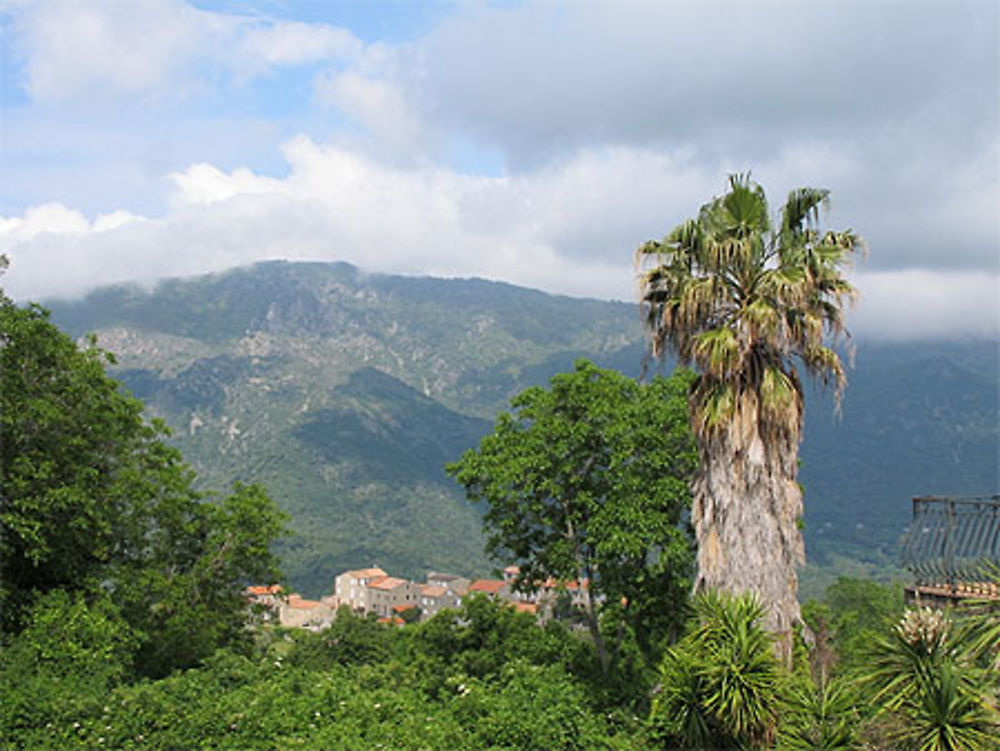 Panorama à ST Lucie