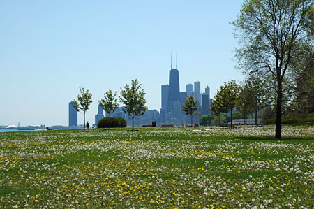 Chicago Chicago