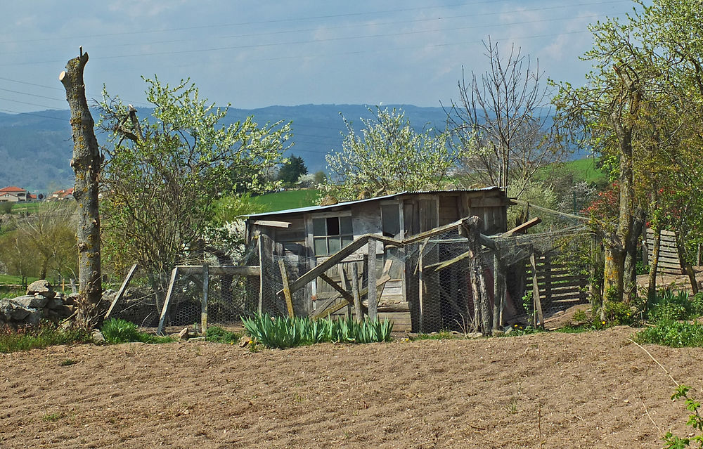 La cabane de jardin