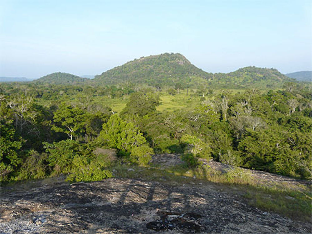 Le parc de Minneriya depuis le point de vue