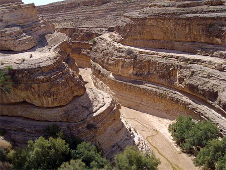 Canyon Canyon