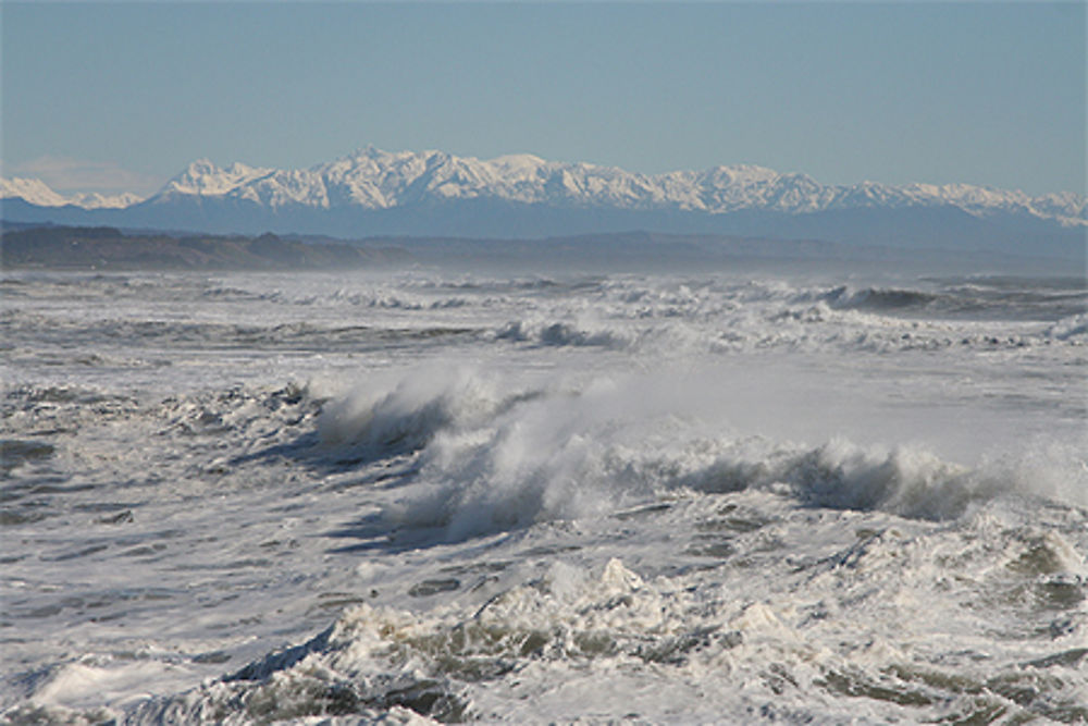 Vue sur les glaciers et la mer de Tasmanie