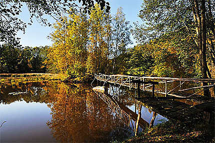 Petit pont sur l'étang