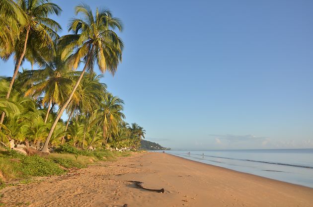 Plage Des Salines De Montjoly Plages Mer Rémire Montjoly Cayenne Guyane 