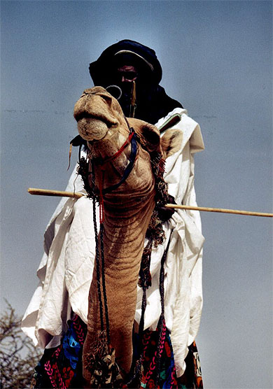 Touareg Touareg