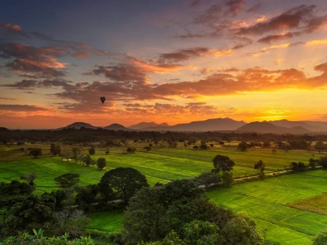 Sri Lanka : nature, temples et plages dor&eacute;es