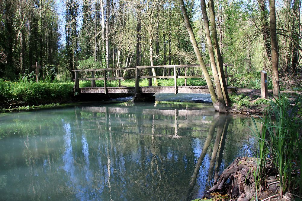 Passerelle sur la Dive