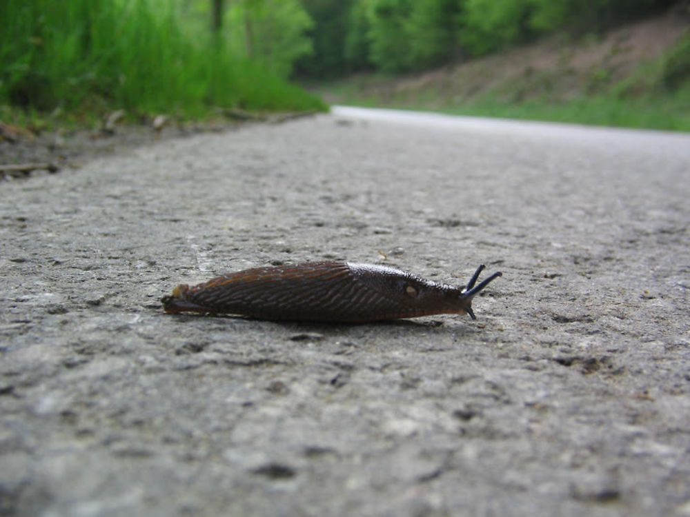 Une petite traversée