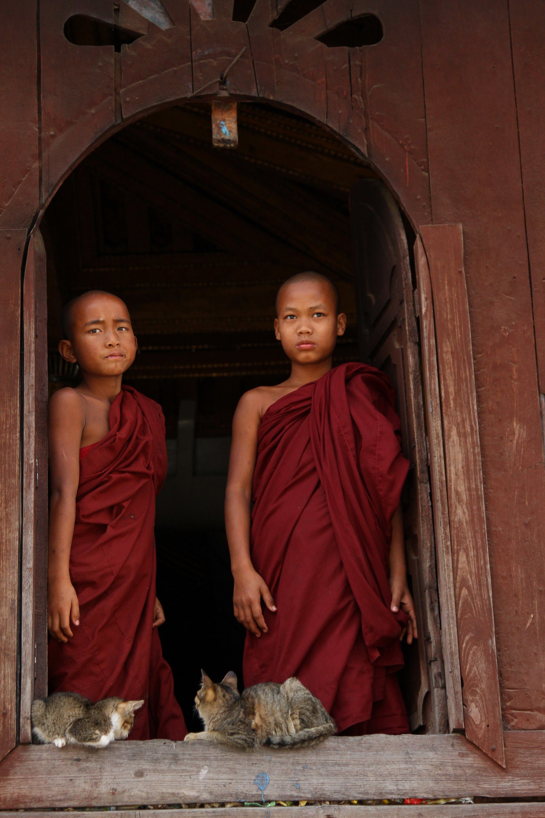 Moinillons au monastère de Shwe Yan Pyay