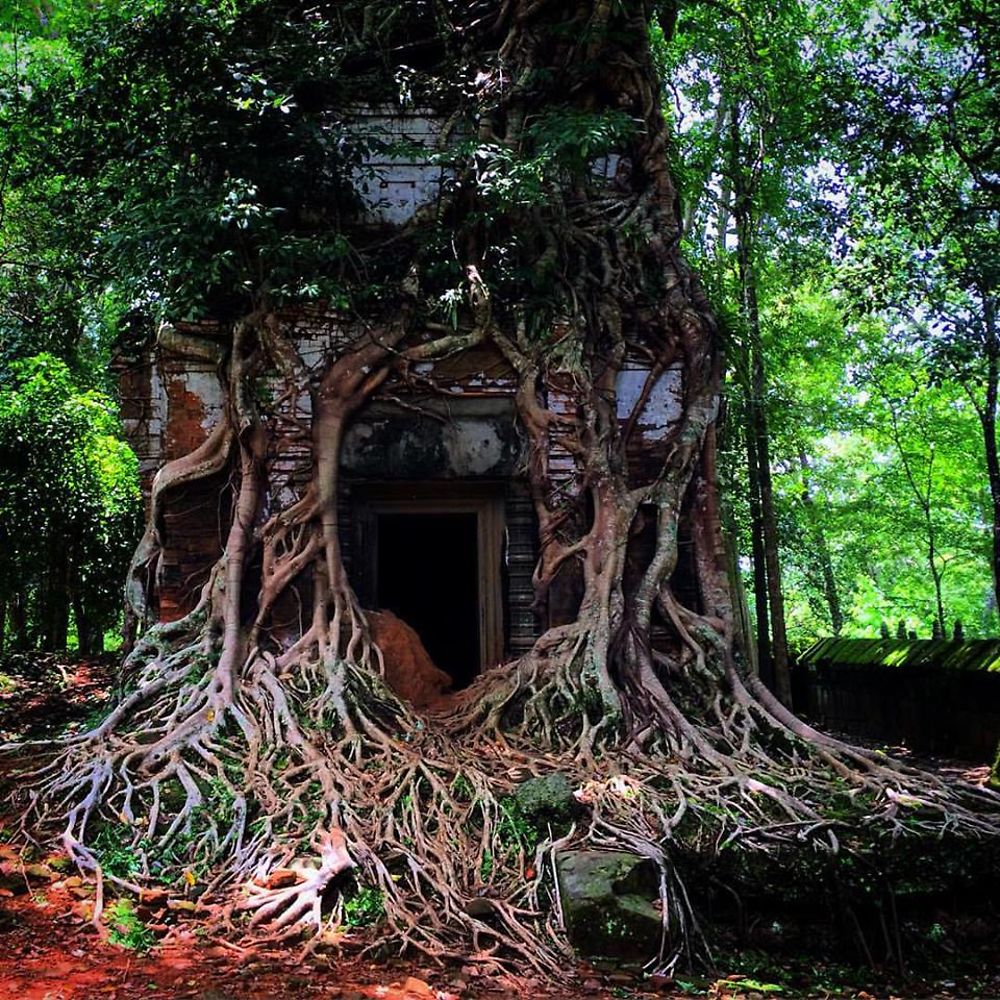 Ta Som à Siem Reap