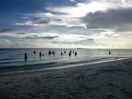 Scène de pêche à Ukulhas (Maldives)